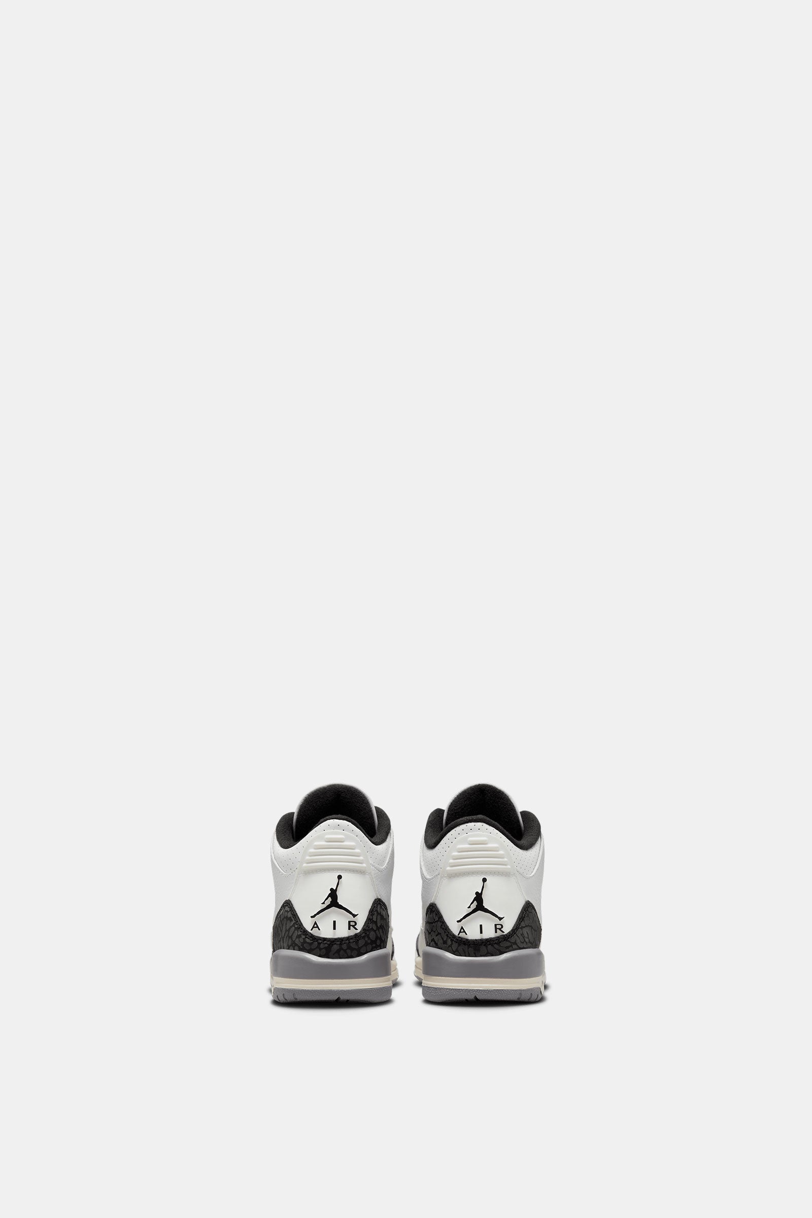 Air Jordan 3 Retro (GS)