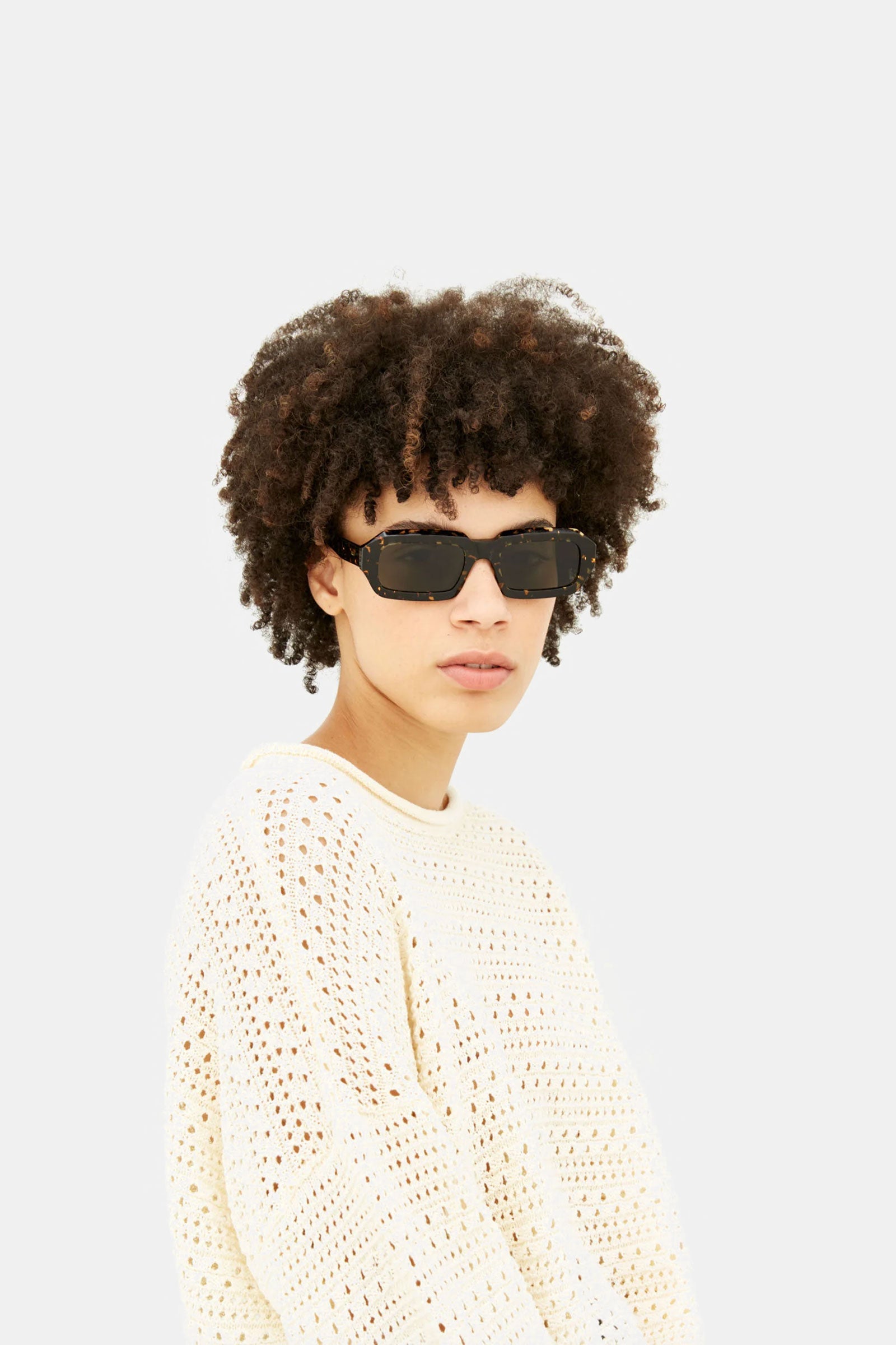 Fantasma Havana Maculata