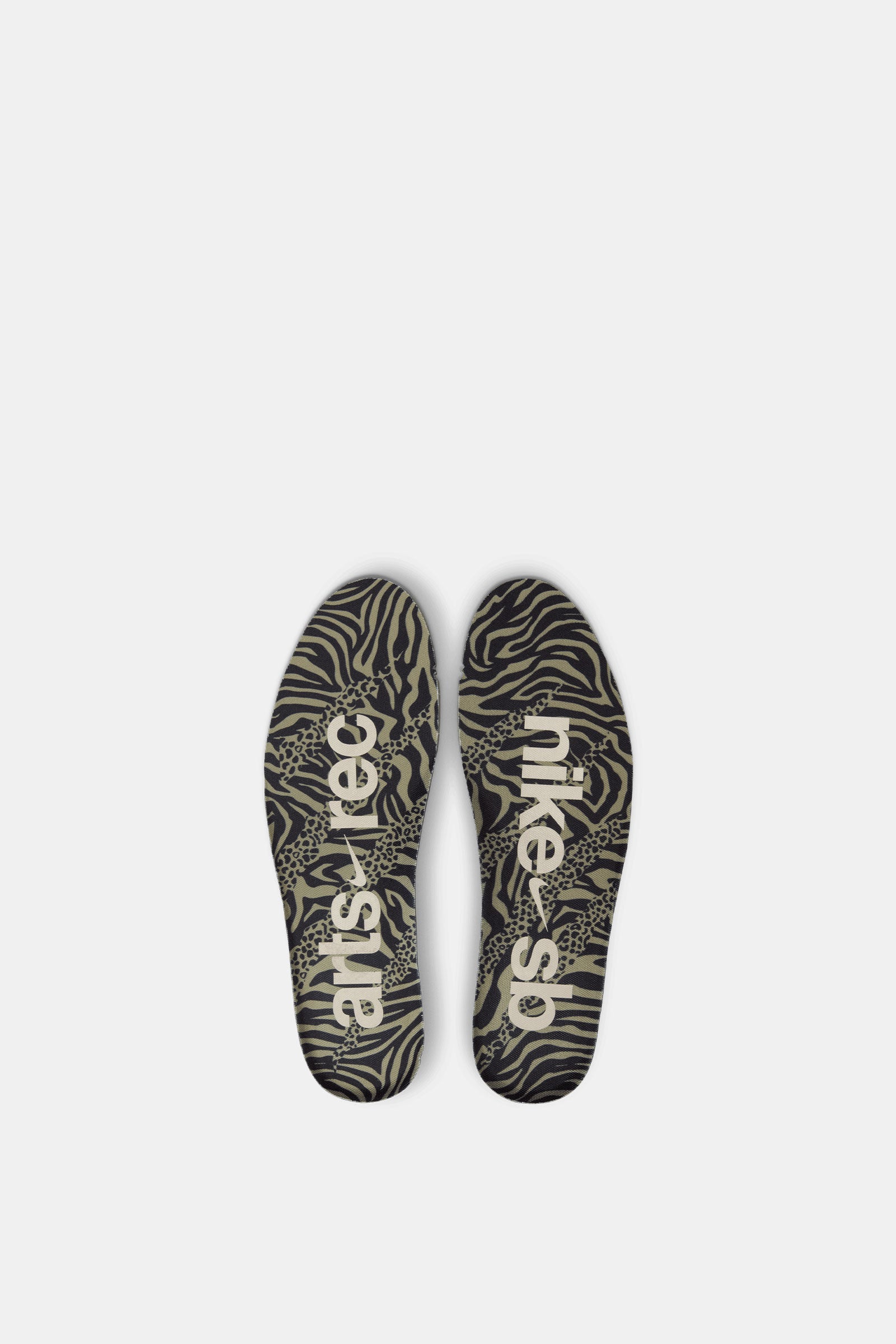 Nike SB Air Trainer 1 QS x Arts-Rec Skateshop