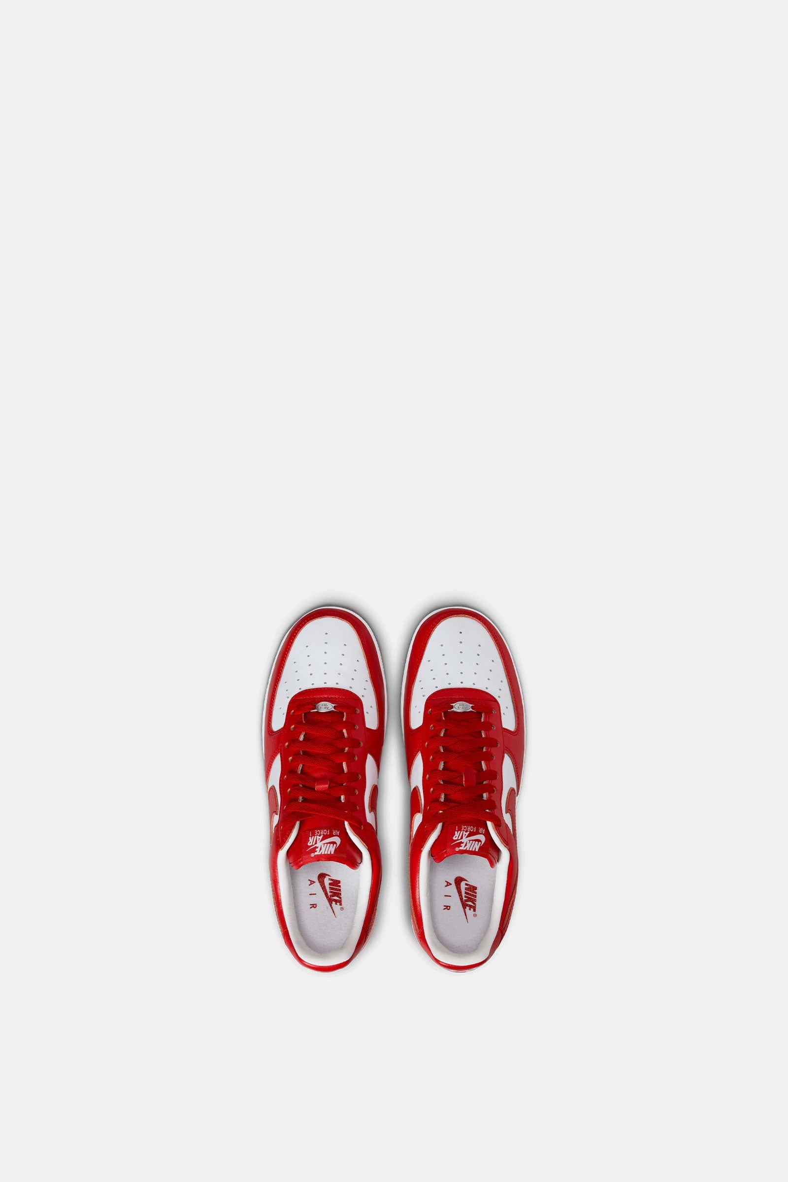 Air Force 1 Low x Terror Squad
