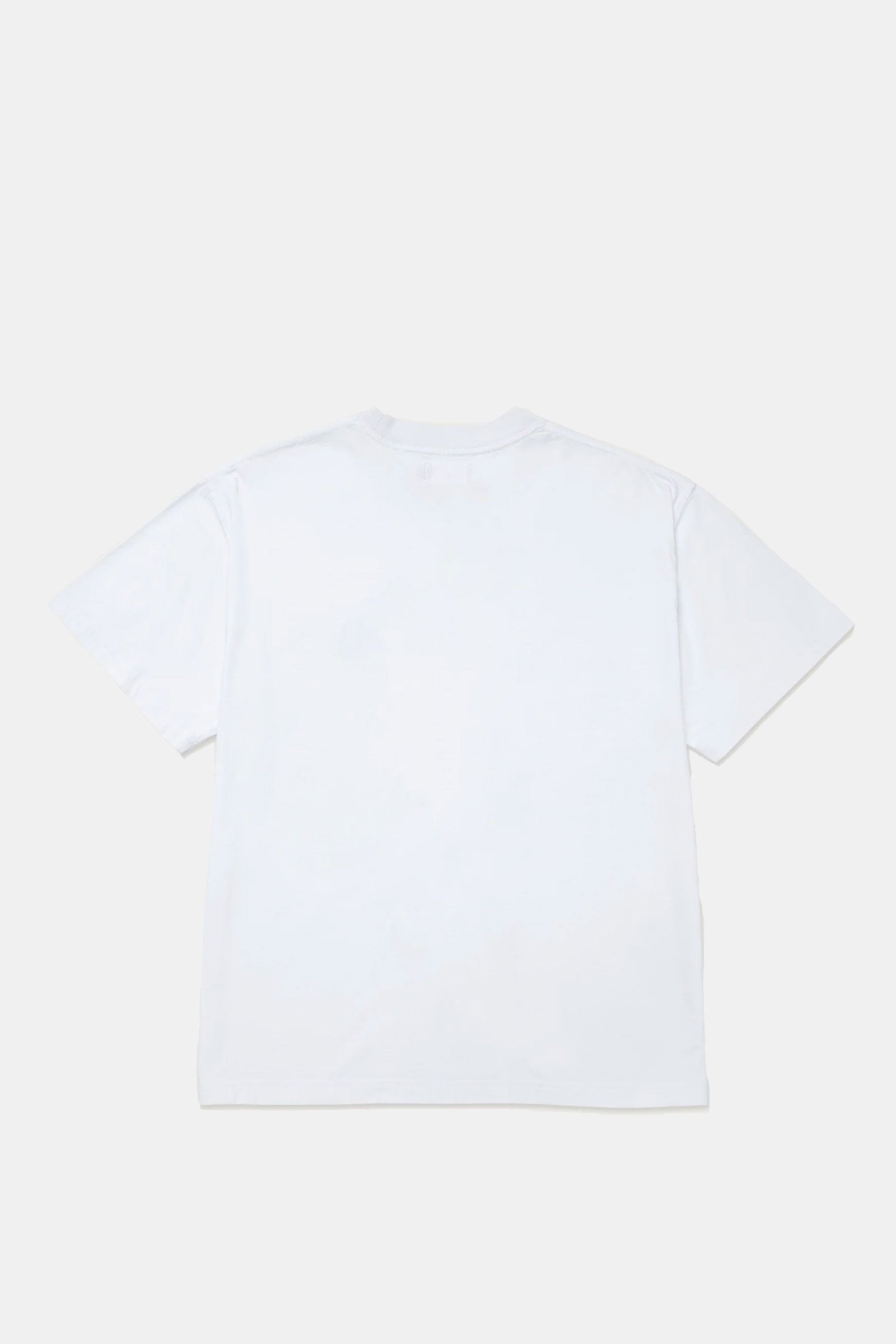 HTG LEAF SS TEE