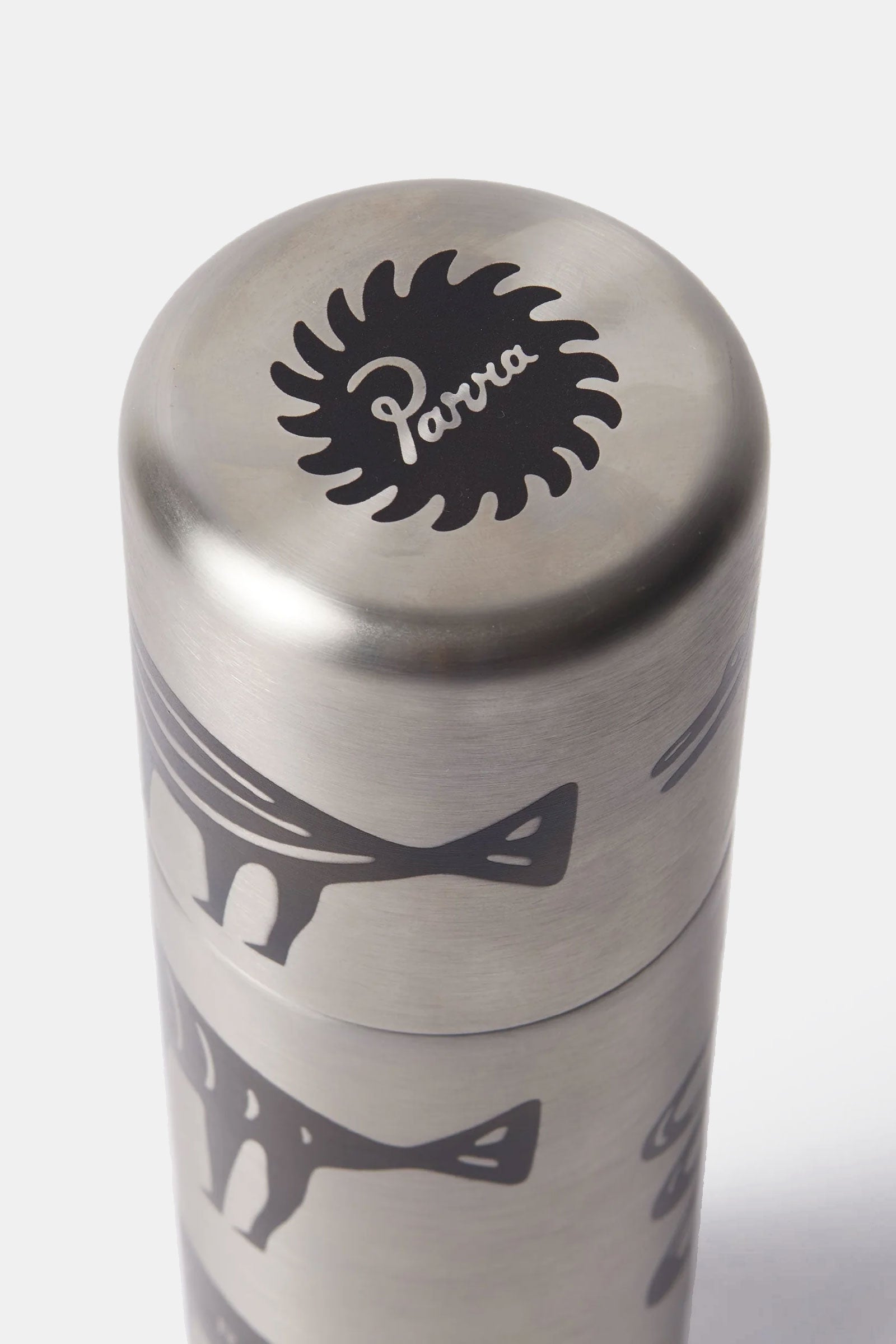 Snakes and Darwin Klean Kanteen Bottle