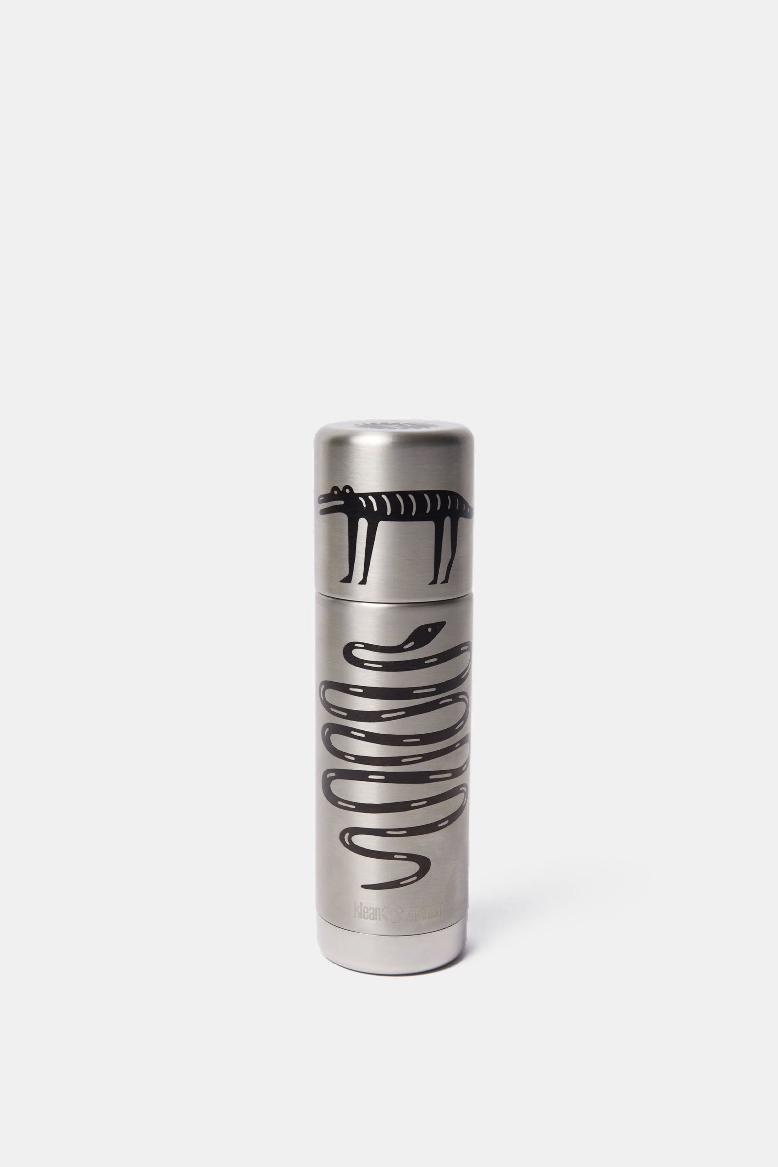 Snakes and Darwin Klean Kanteen Bottle