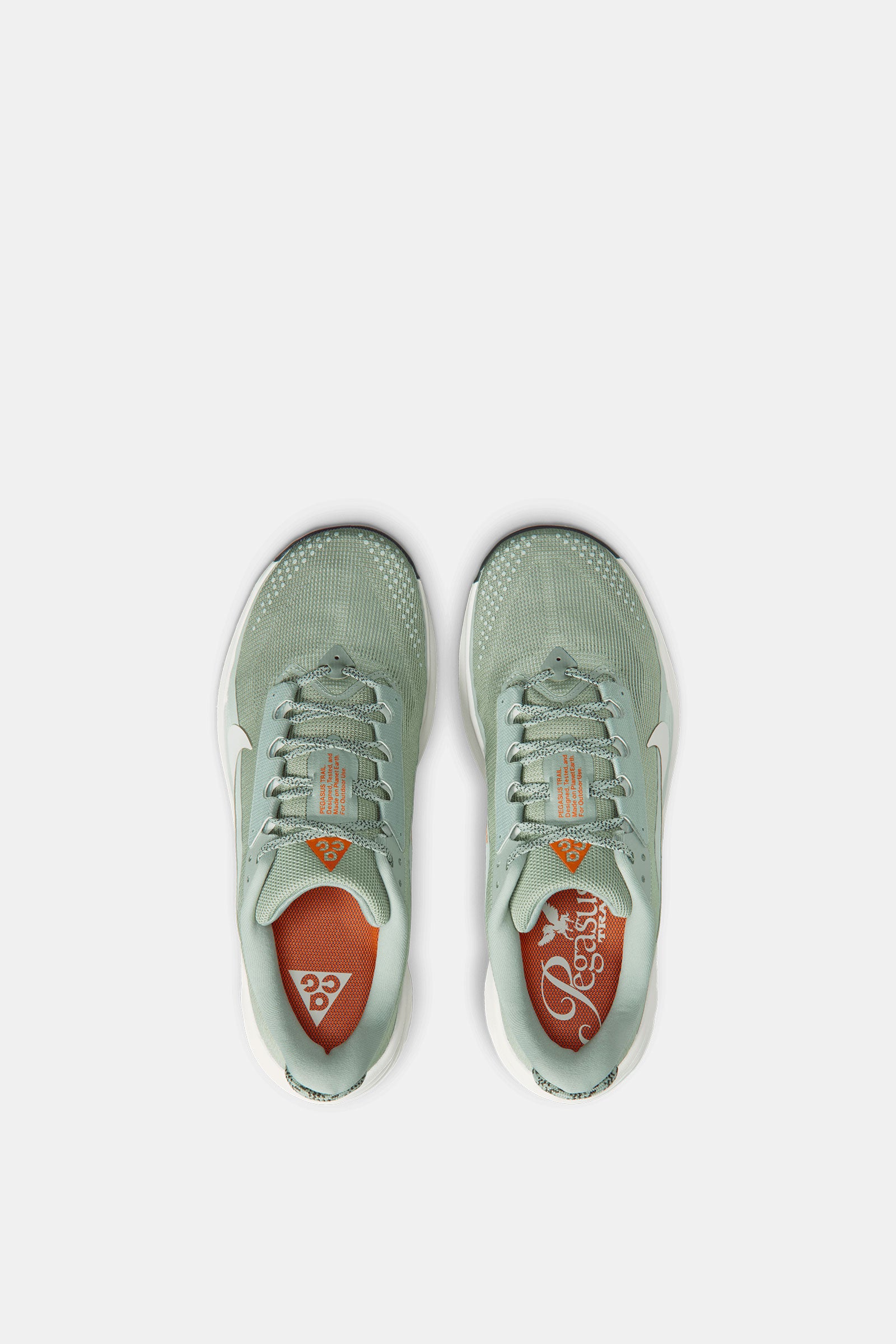 Nike ACG Pegasus Trail