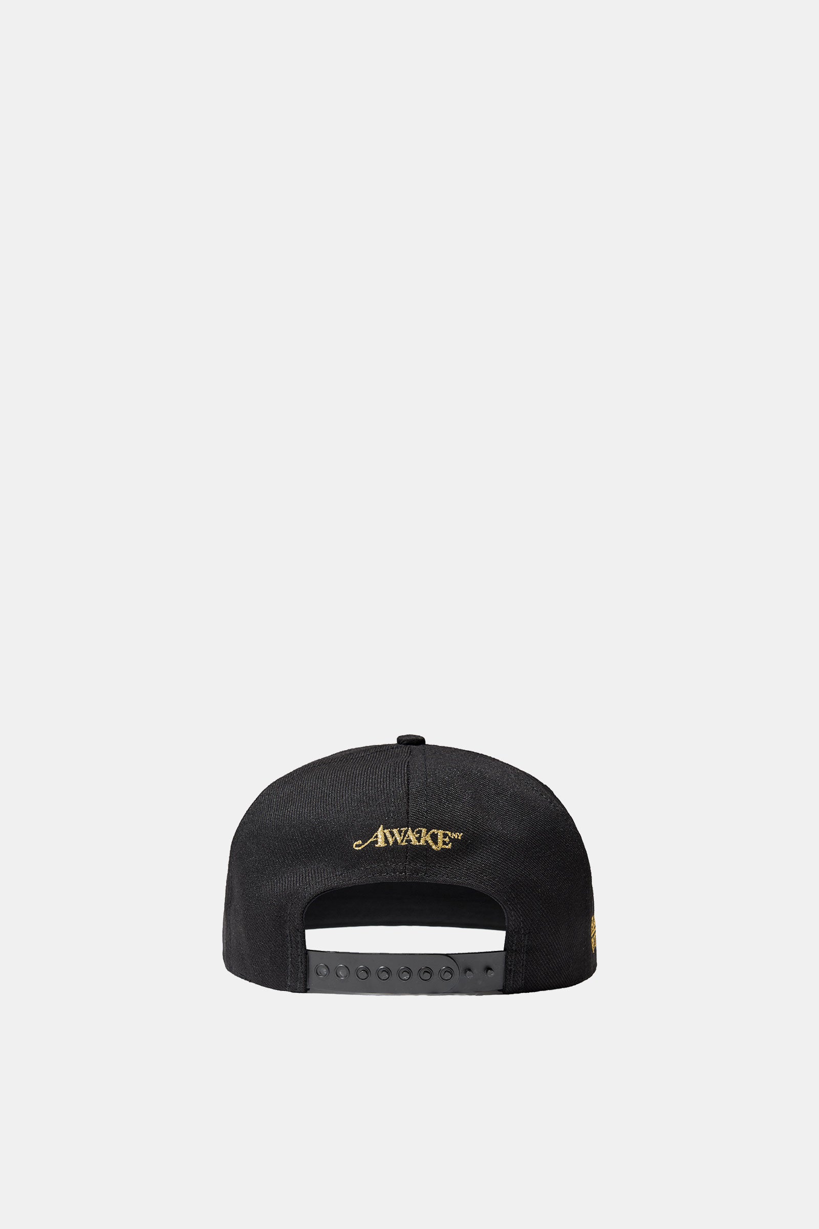 Flamboyant Ent 6 Panel Snapback