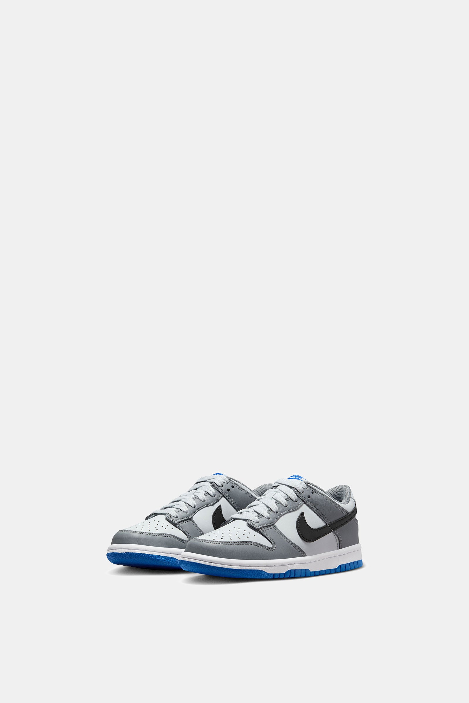 NIKE DUNK LOW (GS)