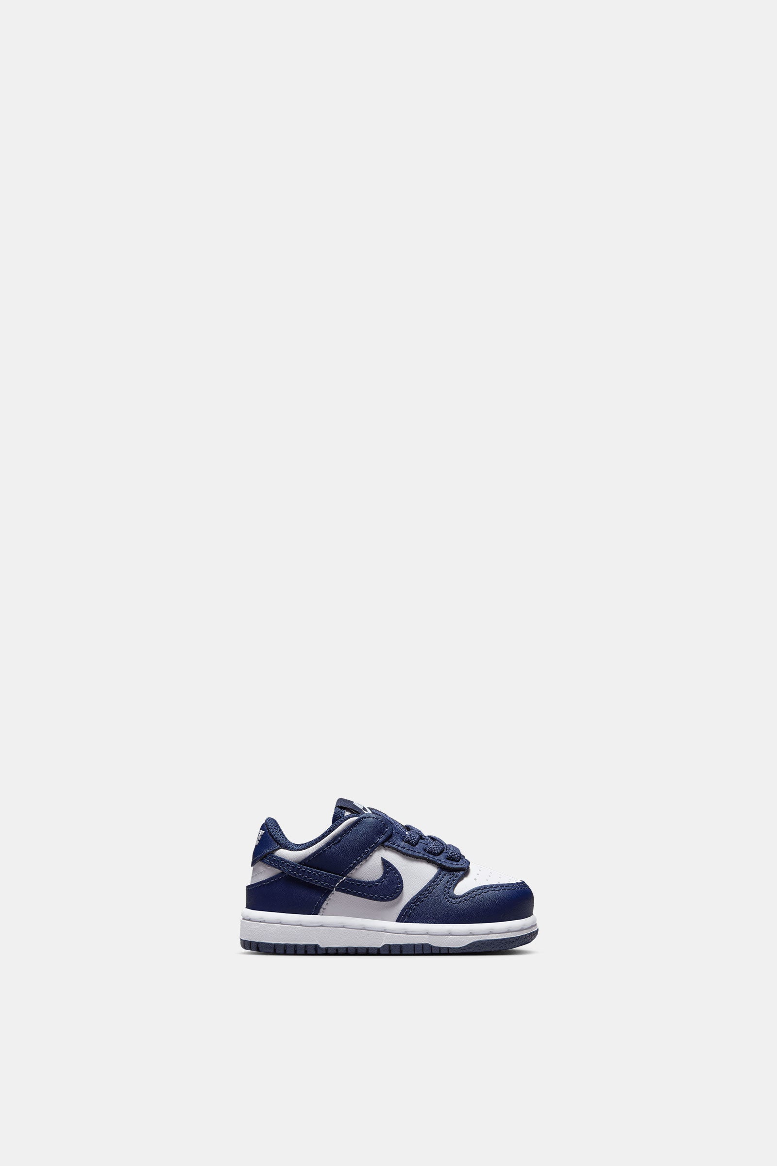 Nike Dunk Low (TDE)