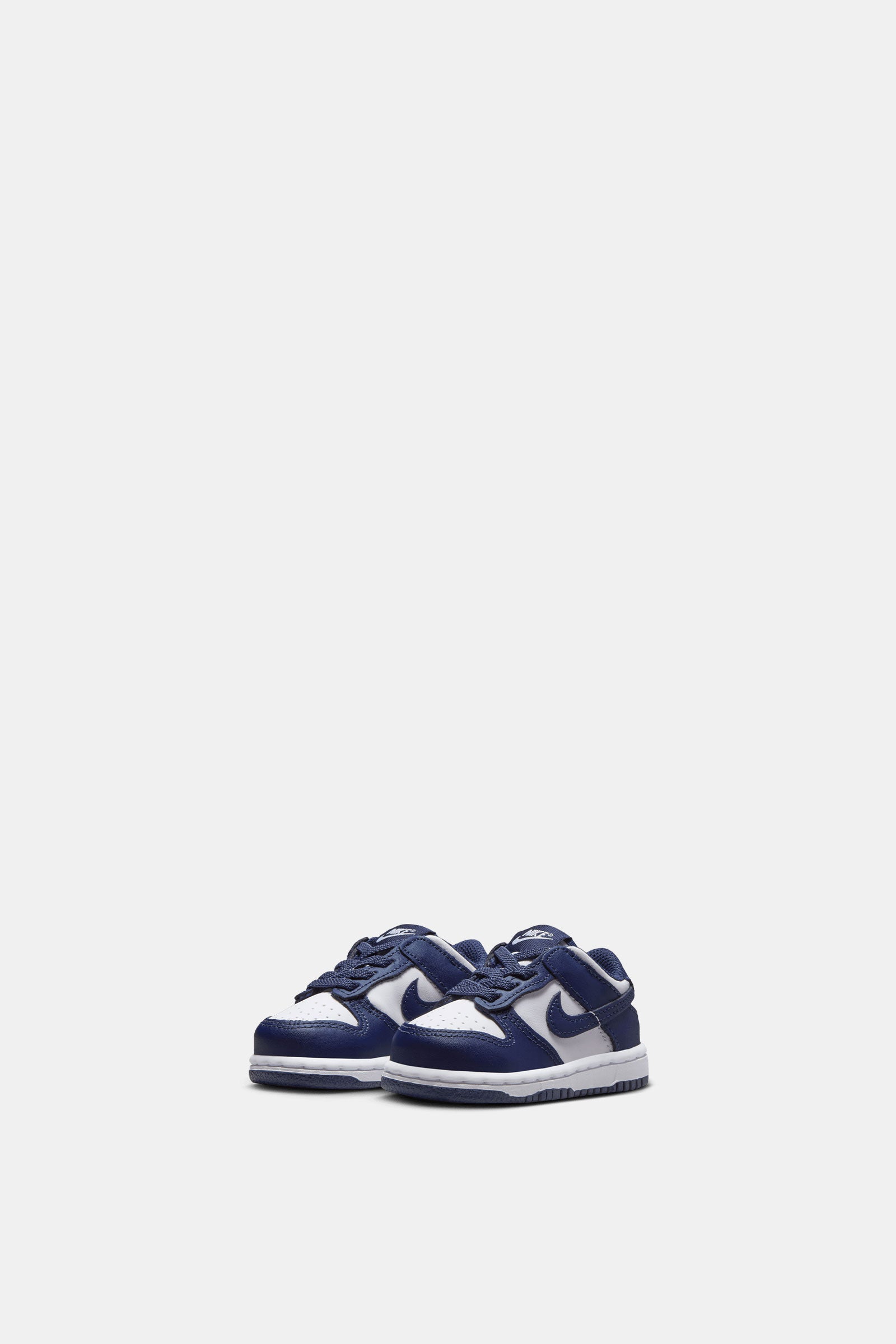 Nike Dunk Low (TDE)