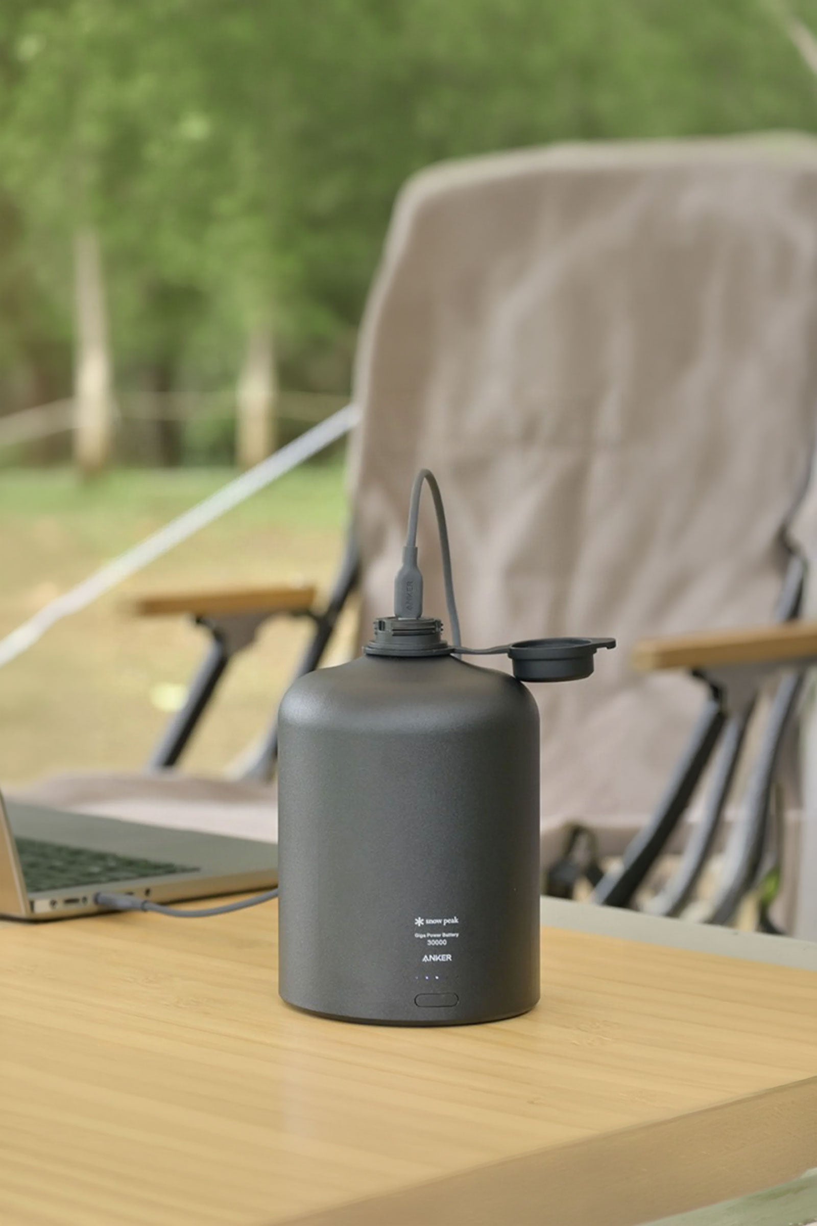 GigaPower Battery 30000
