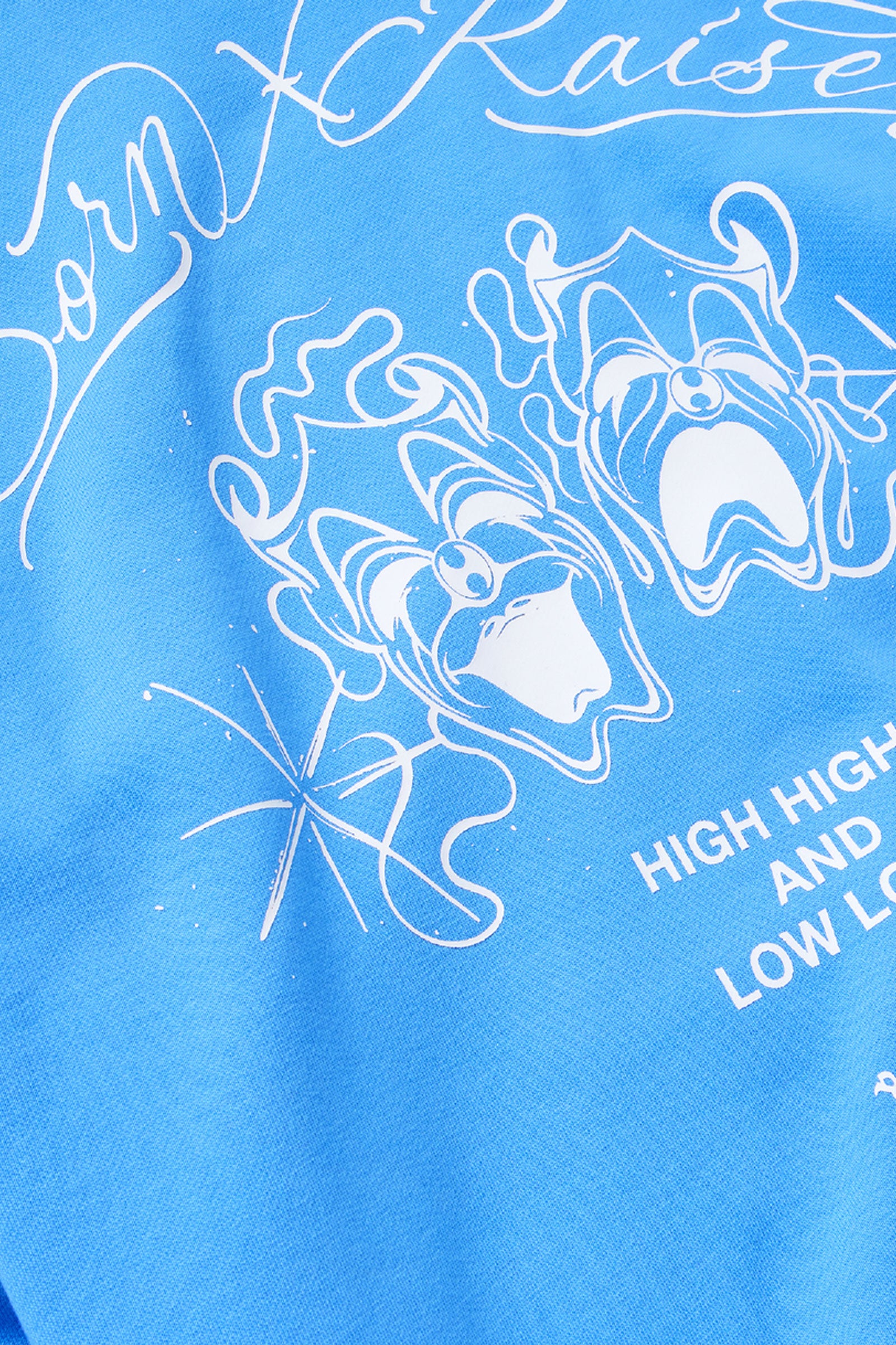 High Highs & Low Lows Hoodie