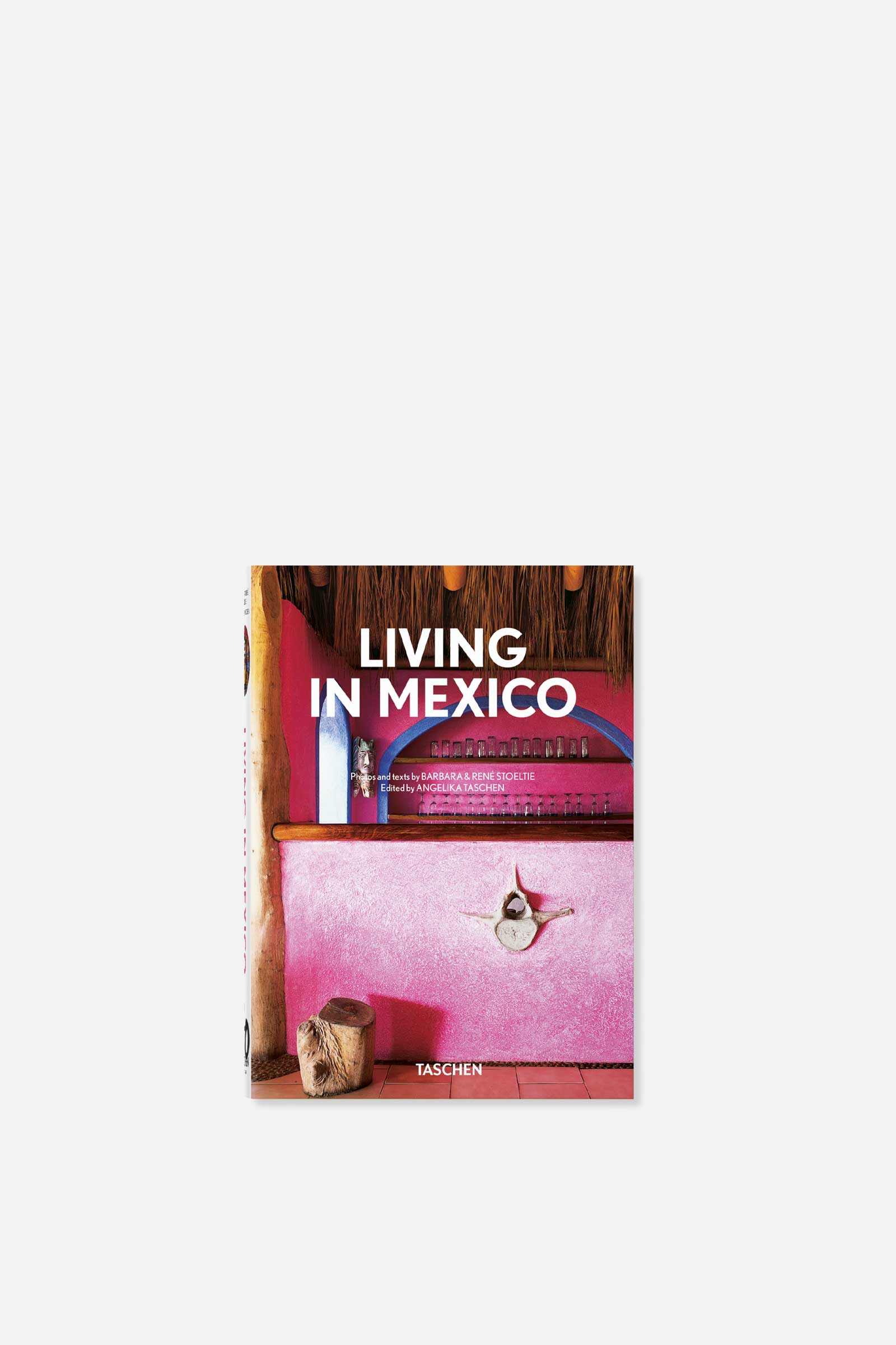 Living in Mexico. 40th Ed.