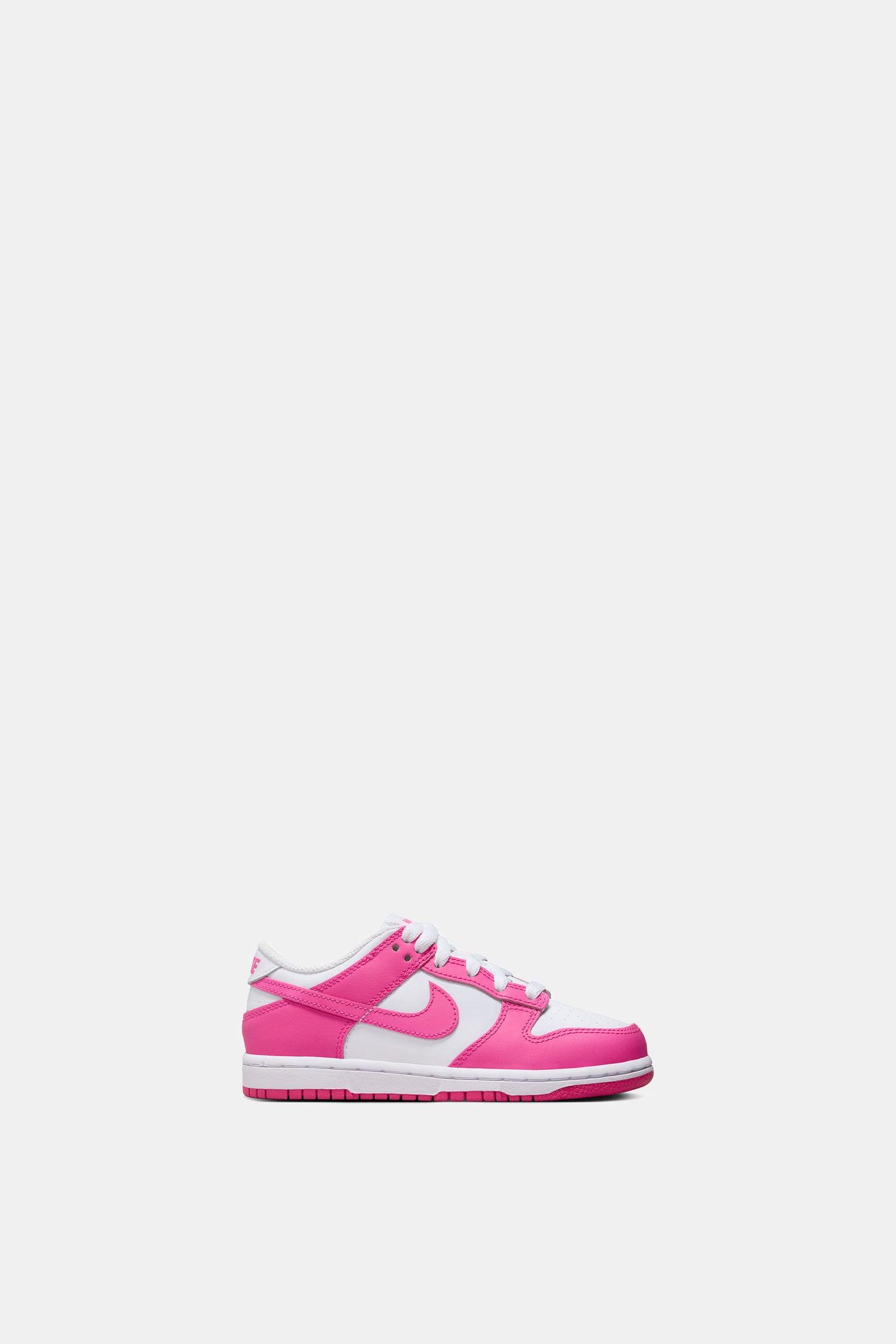 Nike Dunk Low (PSE) | HOMEBRED