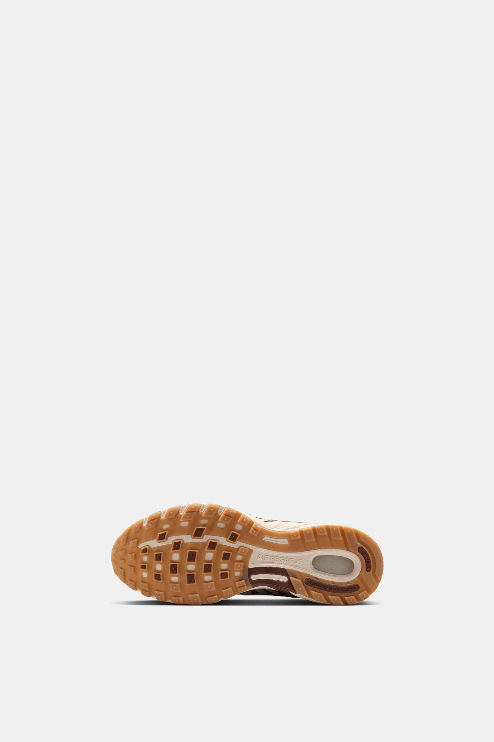 Nike Air Pegasus 2005 SE