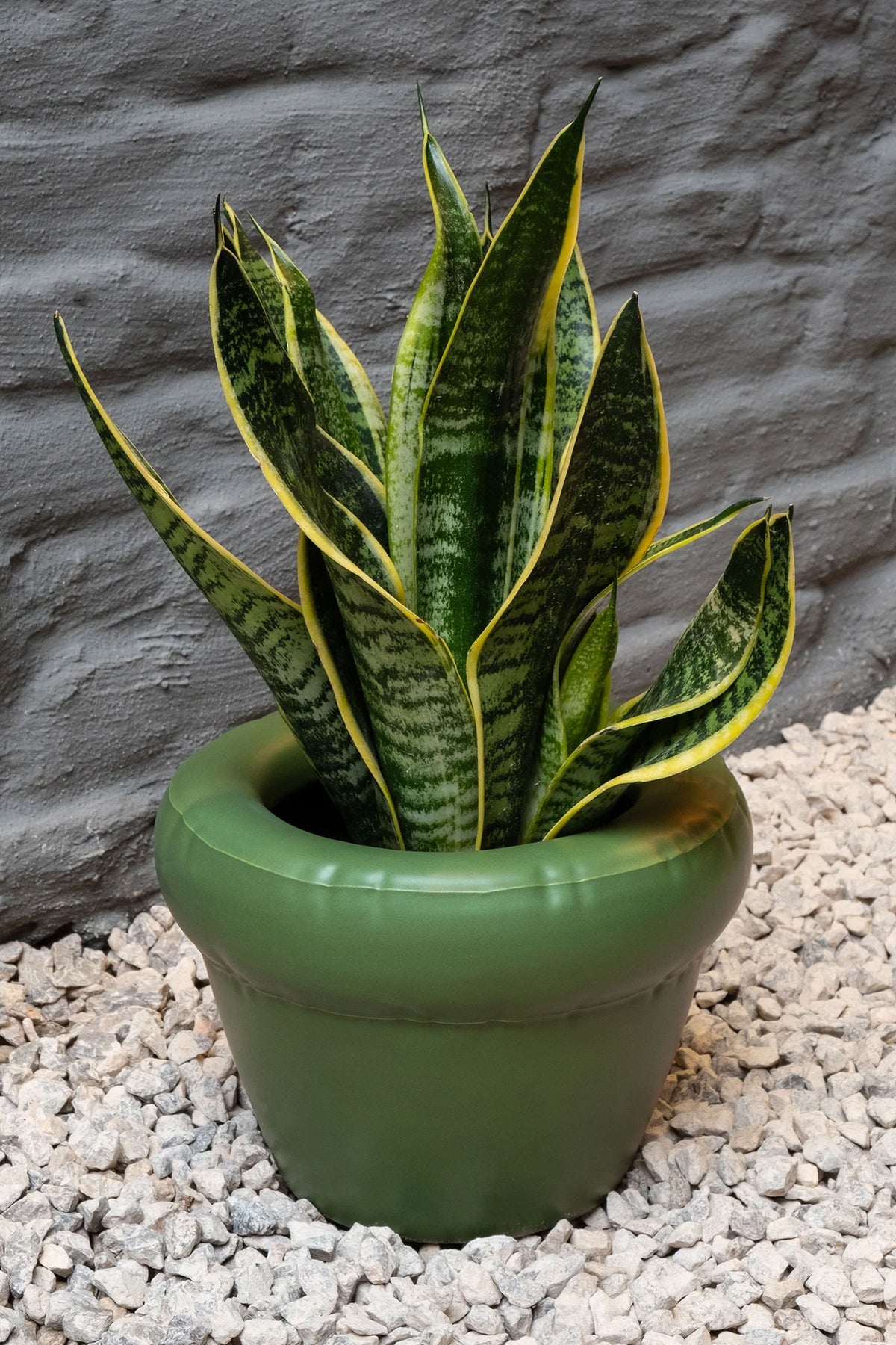 Planter 'PIERRE' Moss | HOMEBRED