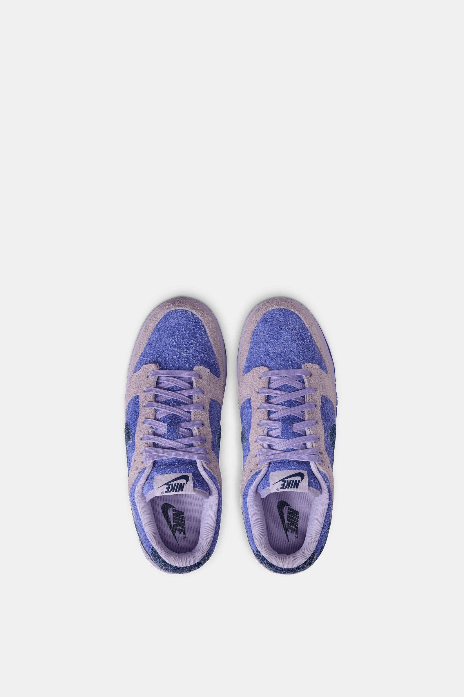 Women's Nike Dunk Low SE